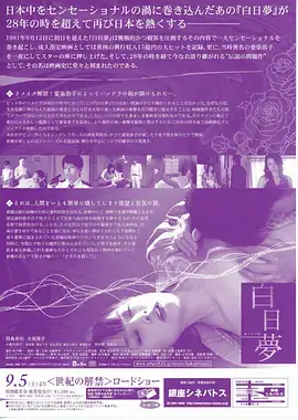 国产悬疑剧《雾港档案》海报
